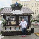 ���� ������, �������, 49 ��� - ��������� 24 ������ 2016 � ������ ���� ����������