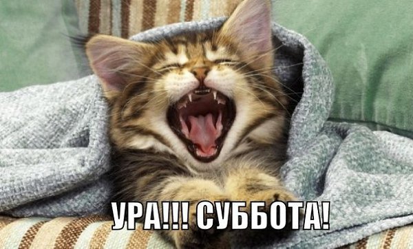 ������ ����, ������)