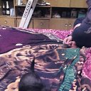  , , 37  -  11  2015   !)