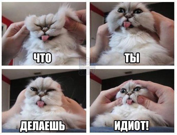 �������� ���� - 16 ������ 2016 � 16:35