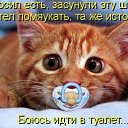 ���� ���������, �������, 62 ���� - ��������� 23 ������� 2015 � ������ ������ ��������