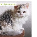 ���� ����, ������, 24 ���� - ��������� 11 ������� 2016 � ������ ���� ����������
