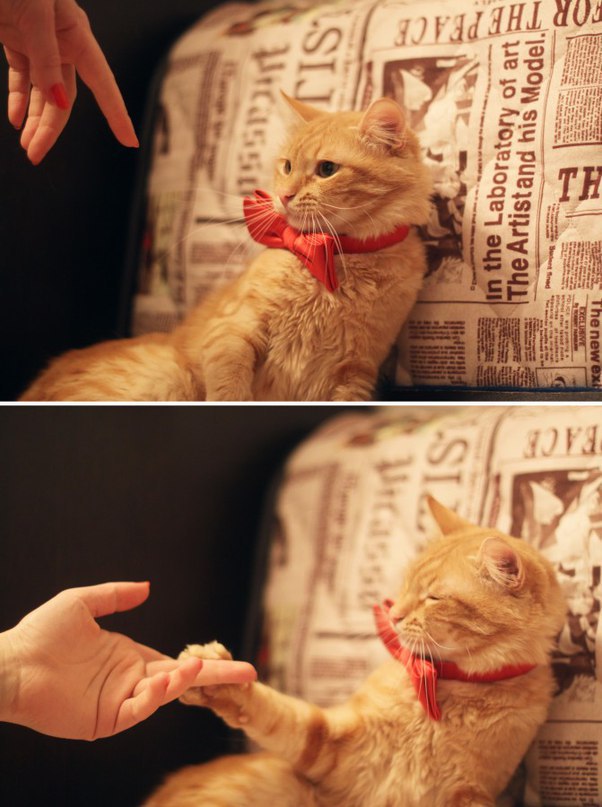        :3
