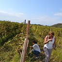 ���� Natia, �������, 42 ���� - ��������� 17 ������� 2015 � ������ ���� ����������
