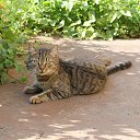 ���� �������, �����-���������, 47 ��� - ��������� 7 ������ 2016 � ������ ������� ����������