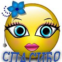 ���� ��������, ��������, 67 ��� - ��������� 24 ������ 2016 � ������ ���������