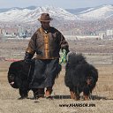 ���� Amgaa Kharsor, ����-�����, 52 ���� - ��������� 6 ������� 2015 � ������ ���� ����������