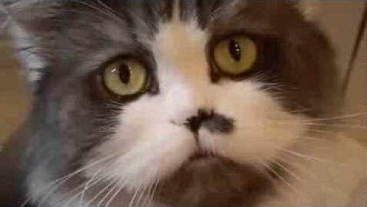 ��� ���� � ������, ������ ��� �� ����� ������� ��� ��������