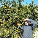 ������� 2012 �������� �� ������� ���