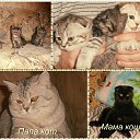 ���� ������, ���������, 46 ��� - ��������� 24 ������� 2015 � ������ ���� ������� �������)))�