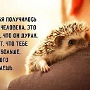 ���� ������, �����-���������, 58 ��� - ��������� 23 ������� 2016 � ������ ������ ��������