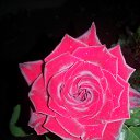 ����� �� ���� �� ������� ���� ����������