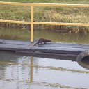 ���� ������, ������ ��������, 42 ���� - ��������� 9 ������ 2015 � ������ ���� ����������