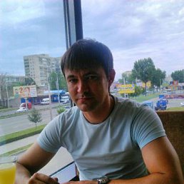 �������, ����������, 41 ���