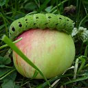 ���� �����, ����������, 58 ��� - ��������� 11 ������� 2015 � ������ ����������