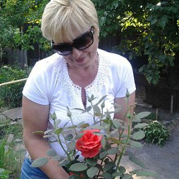 ������, ��������, 62 ����