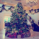 ���� �����, ���� - ��������� 21 ������� 2015 � ������ ���� ����������