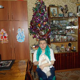 ���� ���������, ����, 62 ���� - ��������� 27 ������� 2015