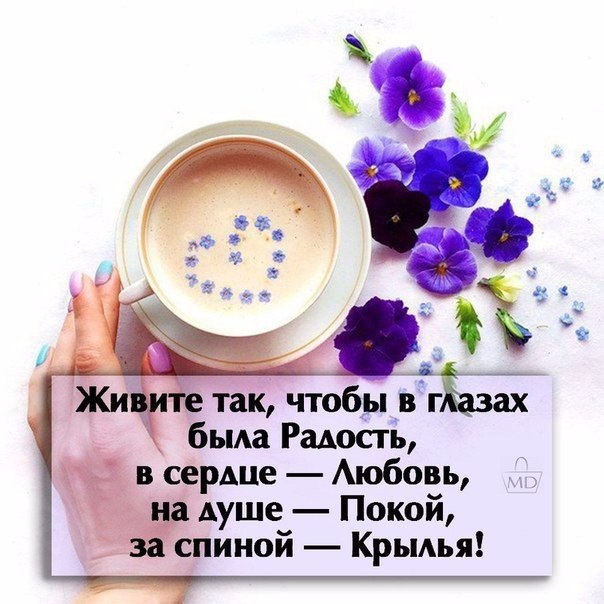   - 26  2016  17:08