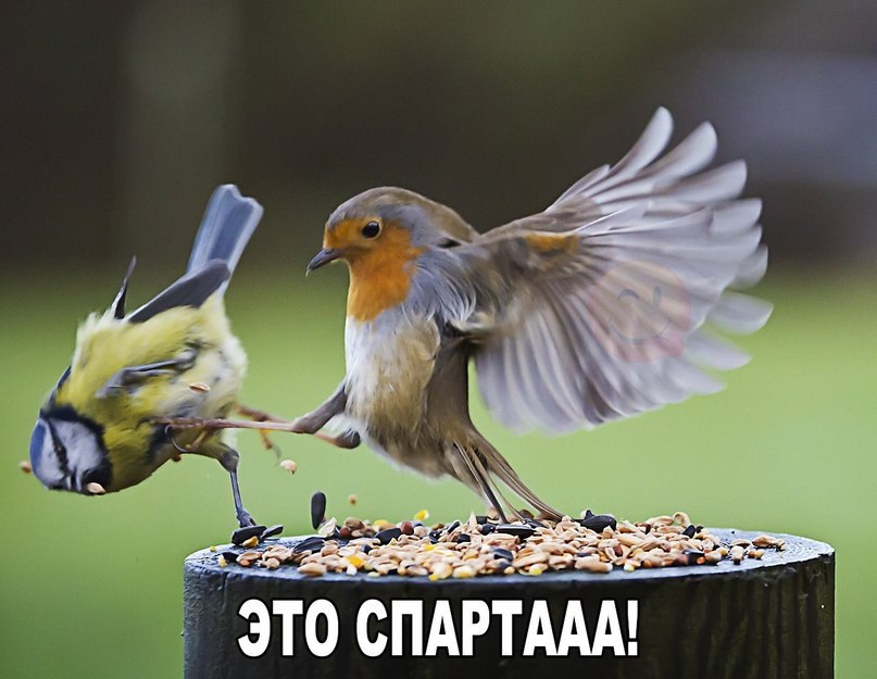     - 9  2016  21:02
