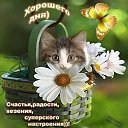 ���� ���������, ���� - ��������� 4 ������ 2016 � ������ ������ ��������