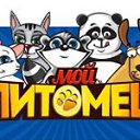 ���� ���������, ���������� - ��������� 13 ������ 2016