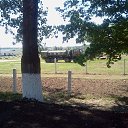  ,  , 65  -  16  2015    