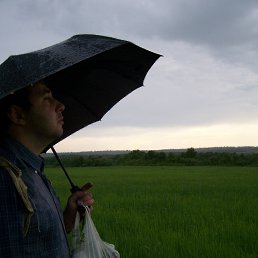 ����������, �������-����������, 48 ���