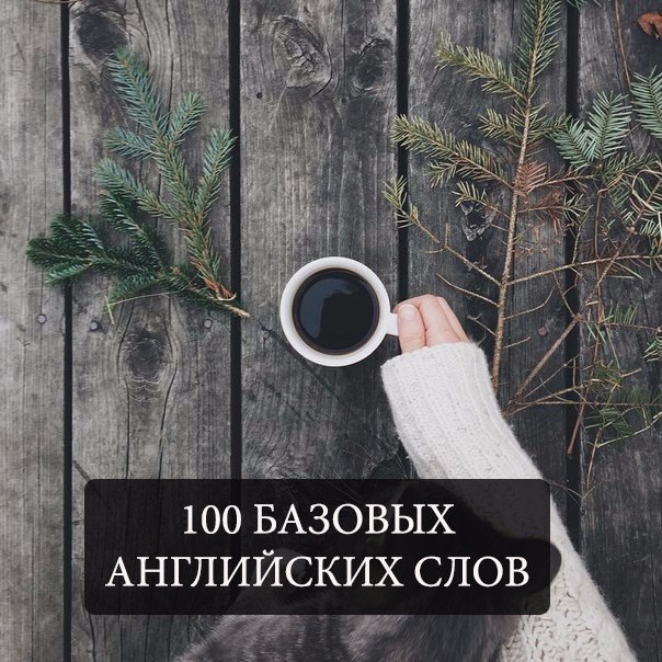 100       .1. the []  ,   ...