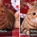  ,  -  11  2016    