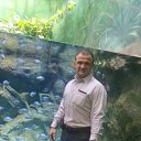 ���� �������, ������, 51 ��� - ��������� 20 ������ 2015 � ������ ����������� 11.11.15�