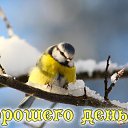 ���� ������;-), ��������, 49 ��� - ��������� 28 ������� 2015 � ������ �������� ��������