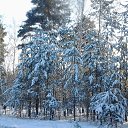 ���� Alexandr, ������, 75 ��� - ��������� 6 ������� 2015 � ������ ��������