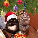 ���� �����, ���� - ��������� 27 ������� 2015 � ������ ���� ����������