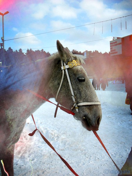 dipi-avatarka - 24  2016  18:22