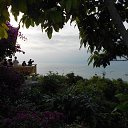  , -, 42  -  2  2015   , 2013 (.)