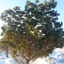 ���� ����, ������, 60 ��� - ��������� 28 �������� 2015 � ������ ������ ��������