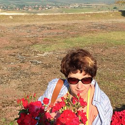 �������, ����, 53 ����