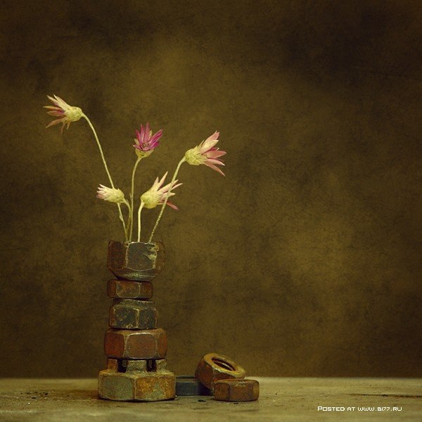 Still Life... George Rustchev - 14