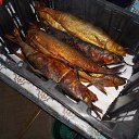 ���� �������, ����, 41 ��� - ��������� 21 ������� 2016 � ������ �������(���� 2016)�