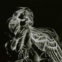 ���� �������� (�� �������), ������, 52 ���� - ��������� 22 ������� 2016 � ������ ������ ��������