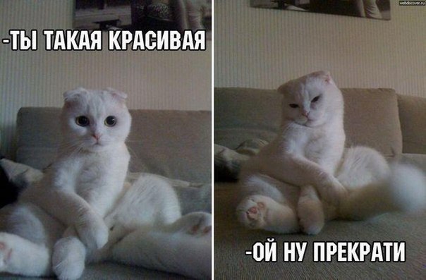       - 1  2015  14:03