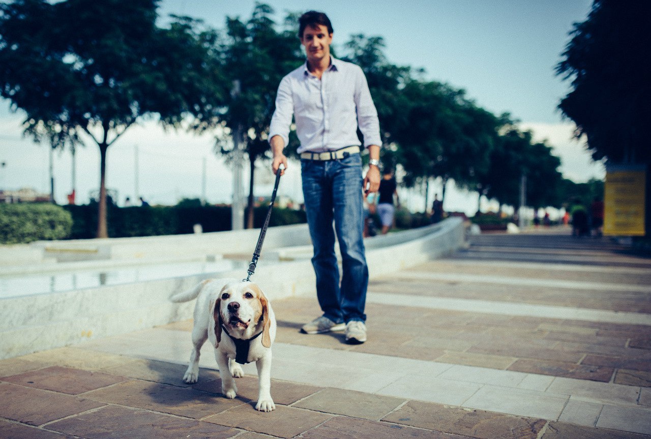 ��������� ����� Man&Dog - 8