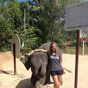 ���� �����, ������, 39 ��� - ��������� 31 ������� 2015 � ������ ���� ����������