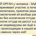 ���� ������, �����, 54 ���� - ��������� 26 ������� 2016 � ������ ���� ����������