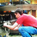 ���� �������, ����������, 42 ���� - ��������� 22 ������ 2016 � ������ ���� ����������