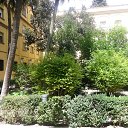 ���� ����, ��������������, 63 ���� - ��������� 16 ������ 2015 � ������ �� �������