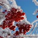 ���� �������, ����-��� - ��������� 23 ������ 2016 � ������ ���� ����������