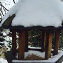 ���� �����, ��������, 51 ��� - ��������� 30 ������ 2016 � ������ �����