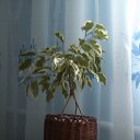 ���� �������, ������, 58 ��� - ��������� 23 ������� 2015 � ������ ������� ������